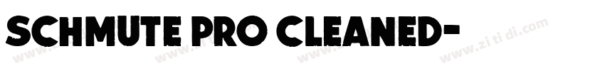 schmute pro cleaned字体转换 schmute pro cleaned字体转换